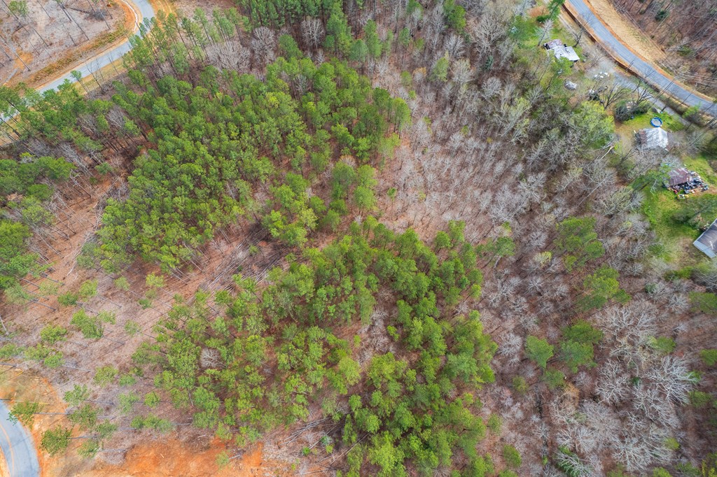 Lot 112 Blalock Mountain Road
