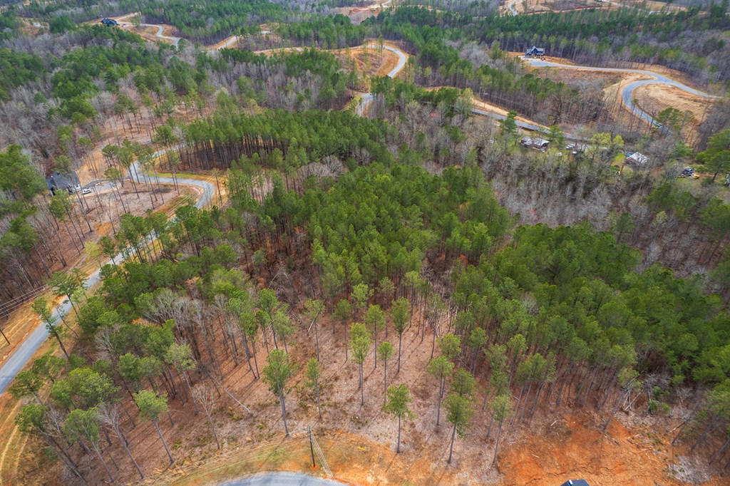 Lot 112 Blalock Mountain Road