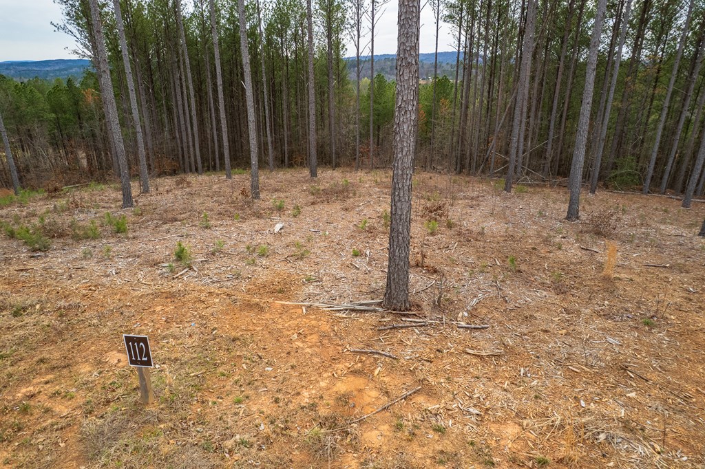 Lot 112 Blalock Mountain Road