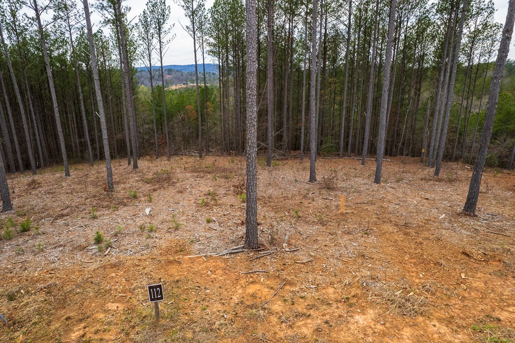 Lot 112 Blalock Mountain Road