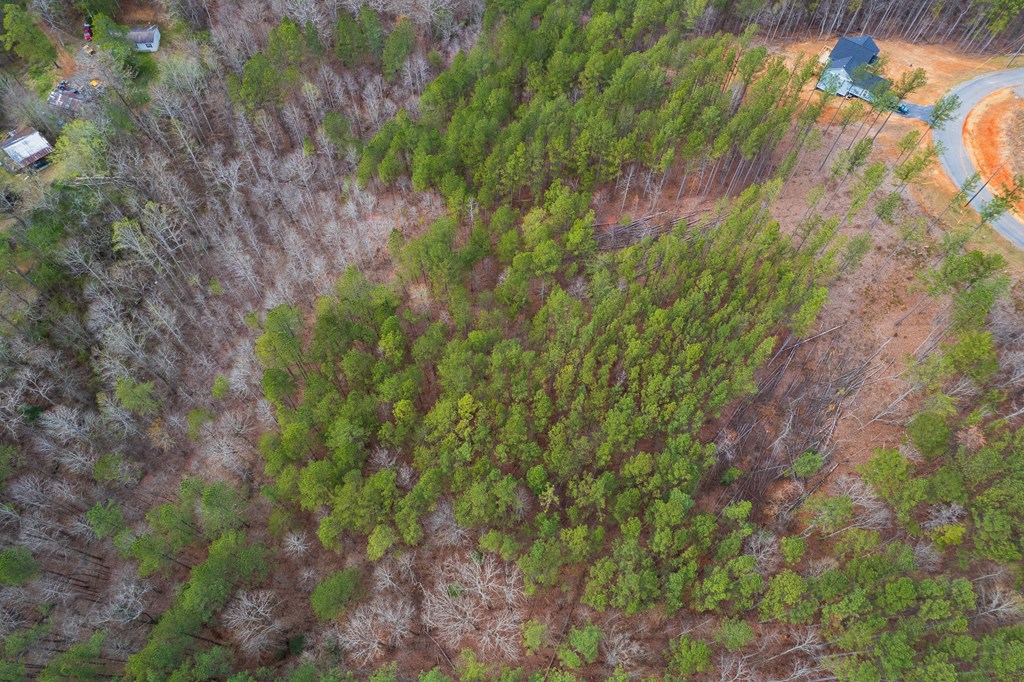 Lot 112 Blalock Mountain Road