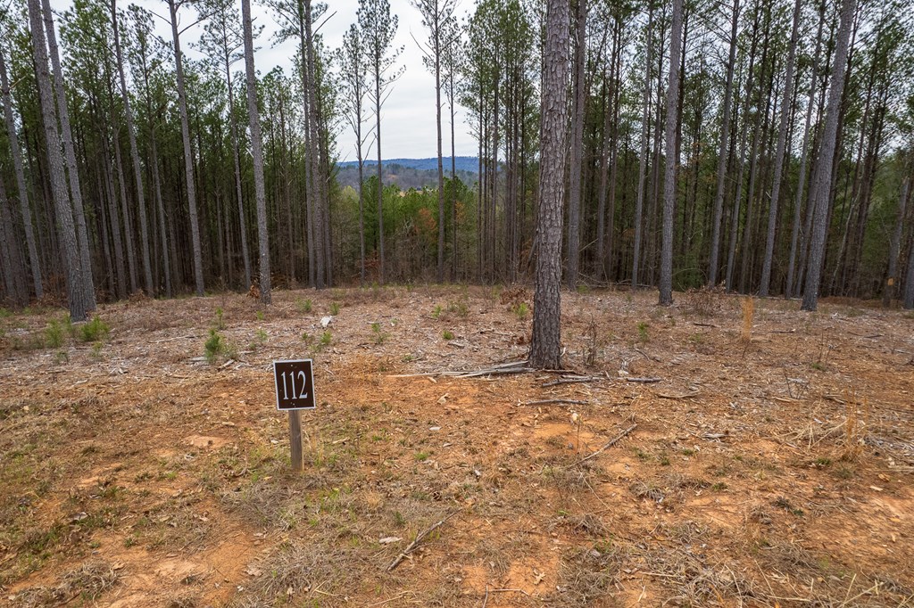 Lot 112 Blalock Mountain Road