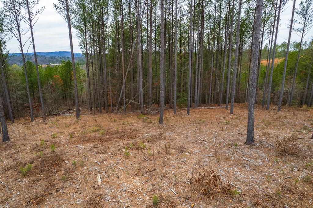 Lot 112 Blalock Mountain Road