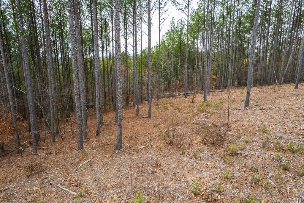 Lot 112 Blalock Mountain Road