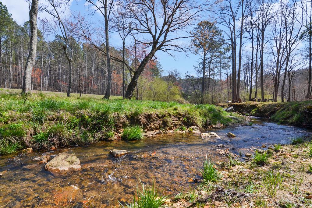 Lot 112 Blalock Mountain Road
