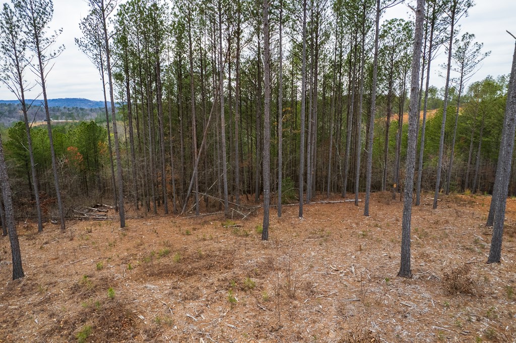 Lot 112 Blalock Mountain Road