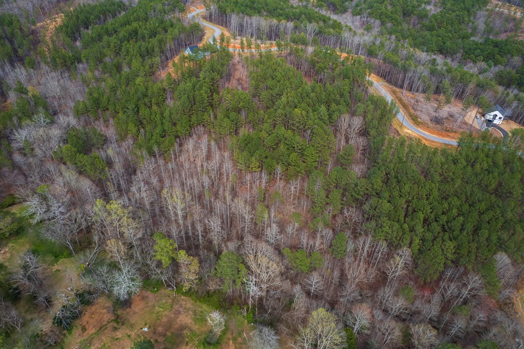 Lot 112 Blalock Mountain Road