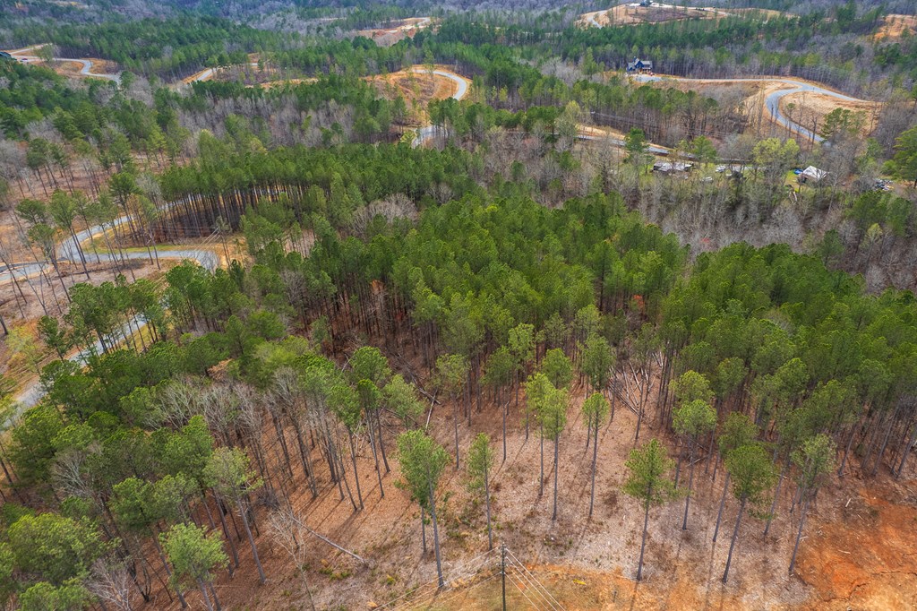 Lot 112 Blalock Mountain Road