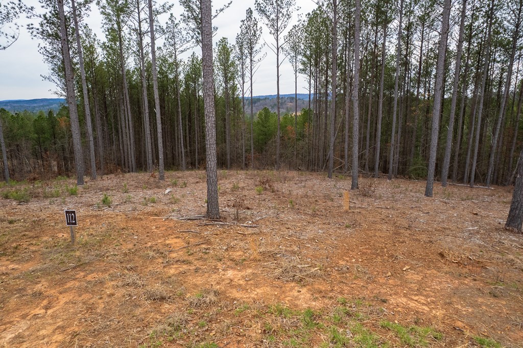 Lot 112 Blalock Mountain Road