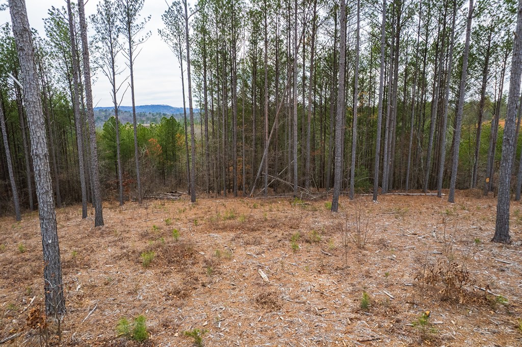 Lot 112 Blalock Mountain Road
