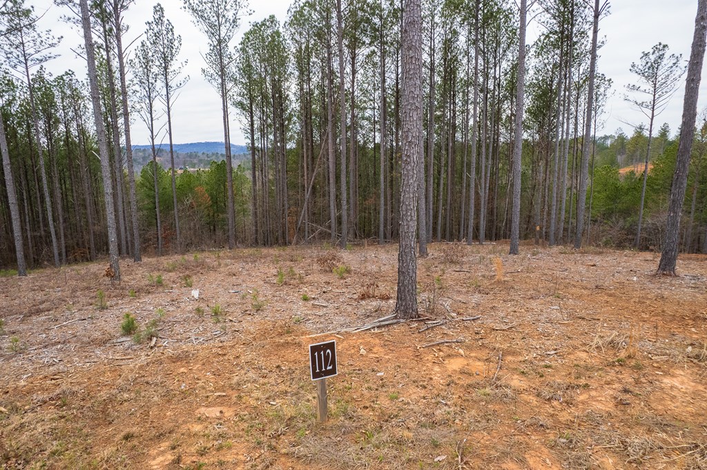 Lot 112 Blalock Mountain Road