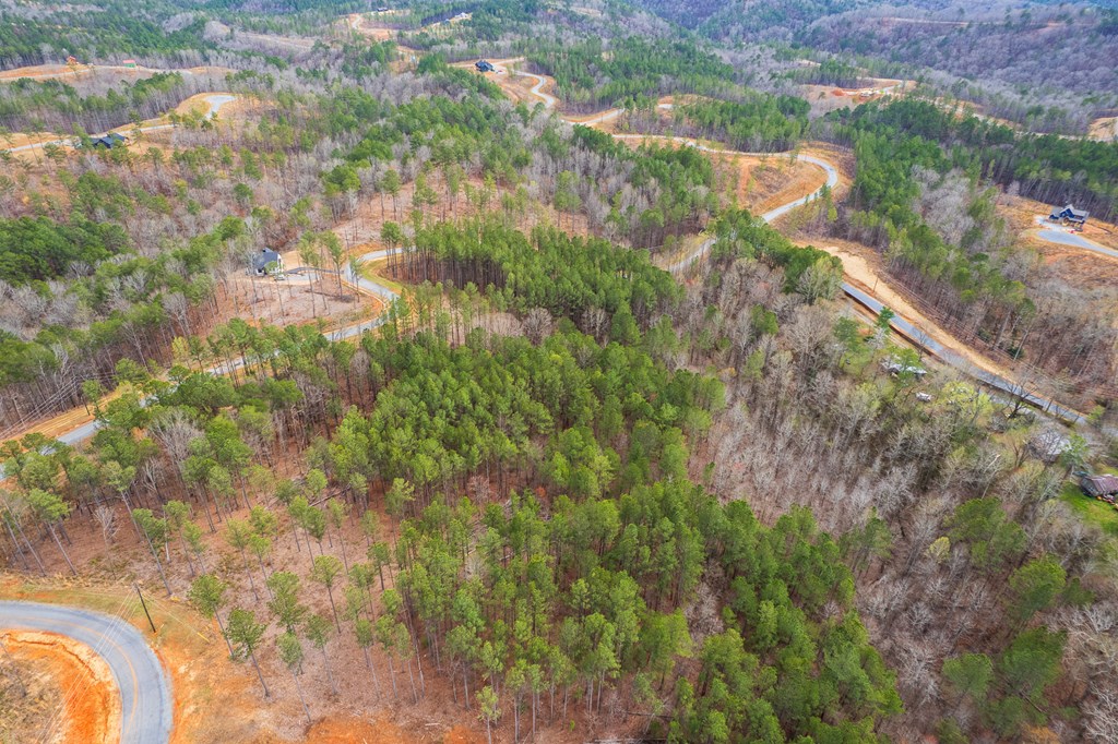 Lot 112 Blalock Mountain Road