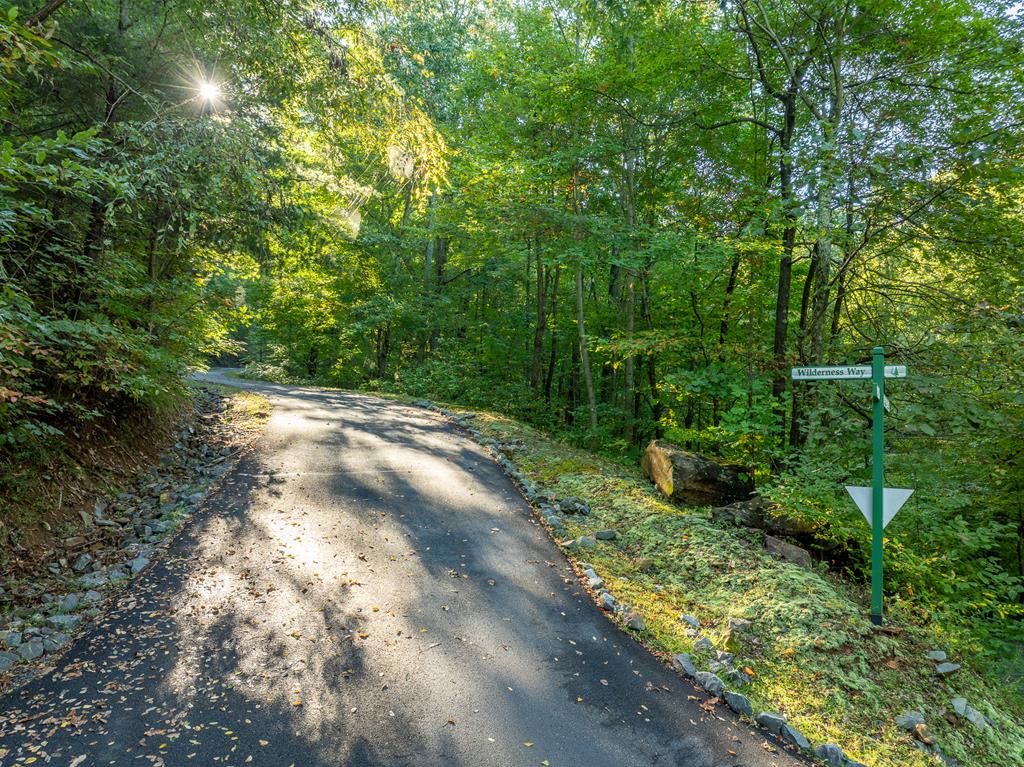 Lot 9 Moss Creek Trail