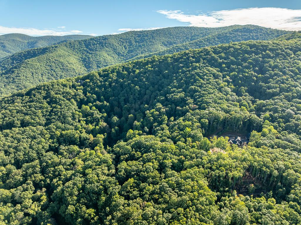 Lot 9 Moss Creek Trail