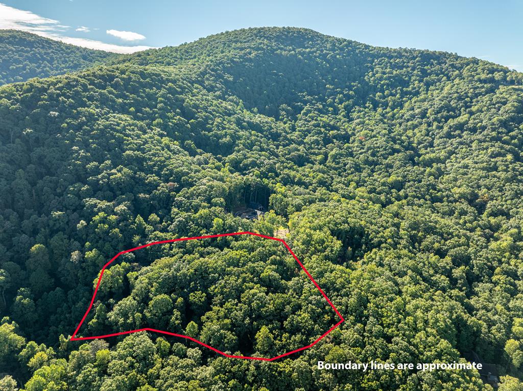 Lot 9 Moss Creek Trail