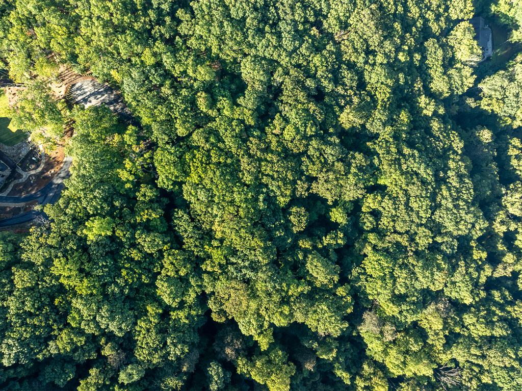 Lot 9 Moss Creek Trail