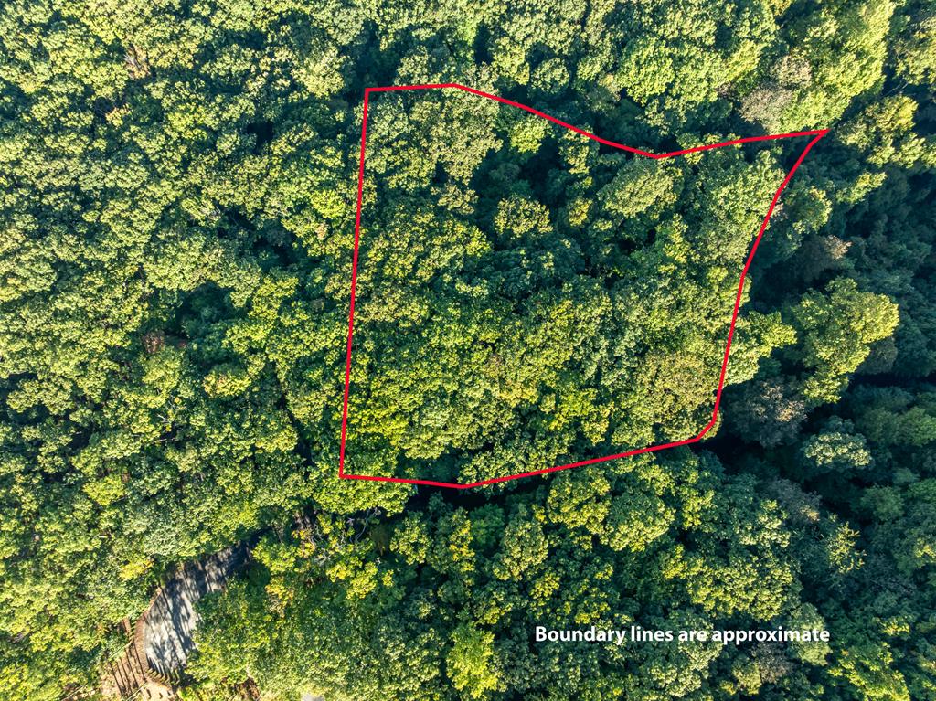 Lot 9 Moss Creek Trail