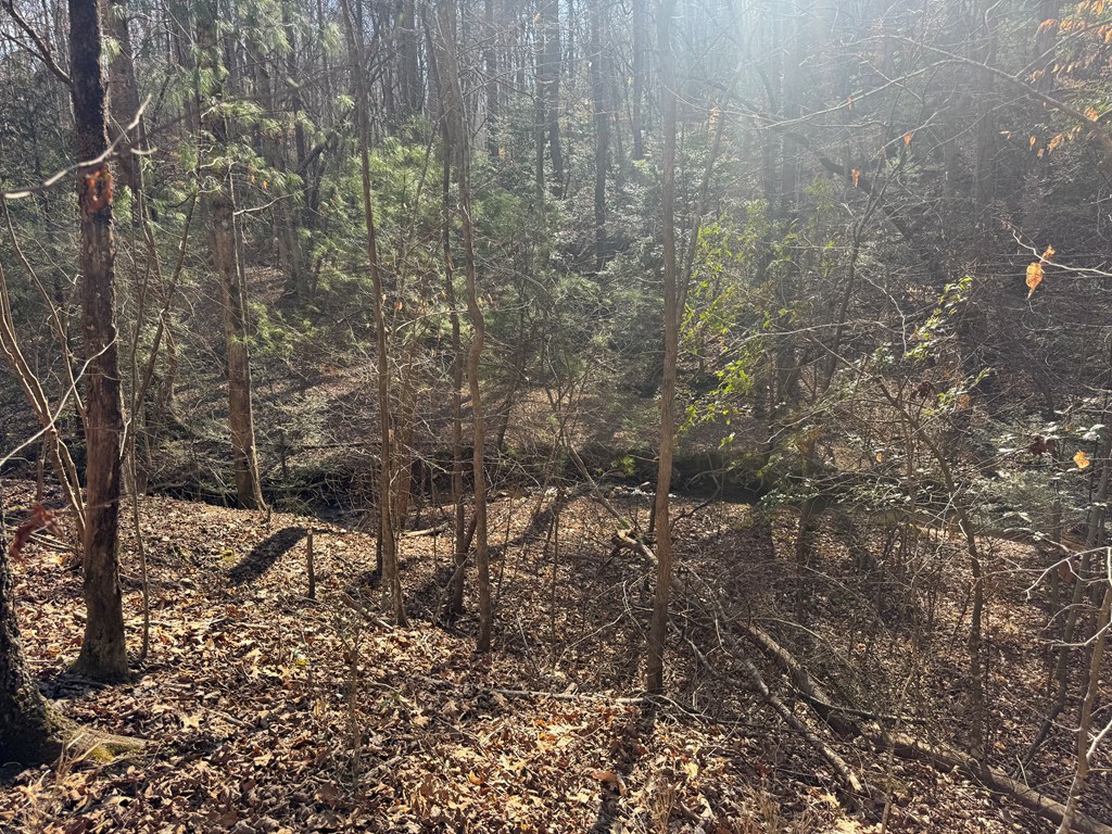Lot 855 Matrix Lane
