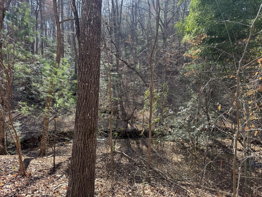Lot 855 Matrix Lane