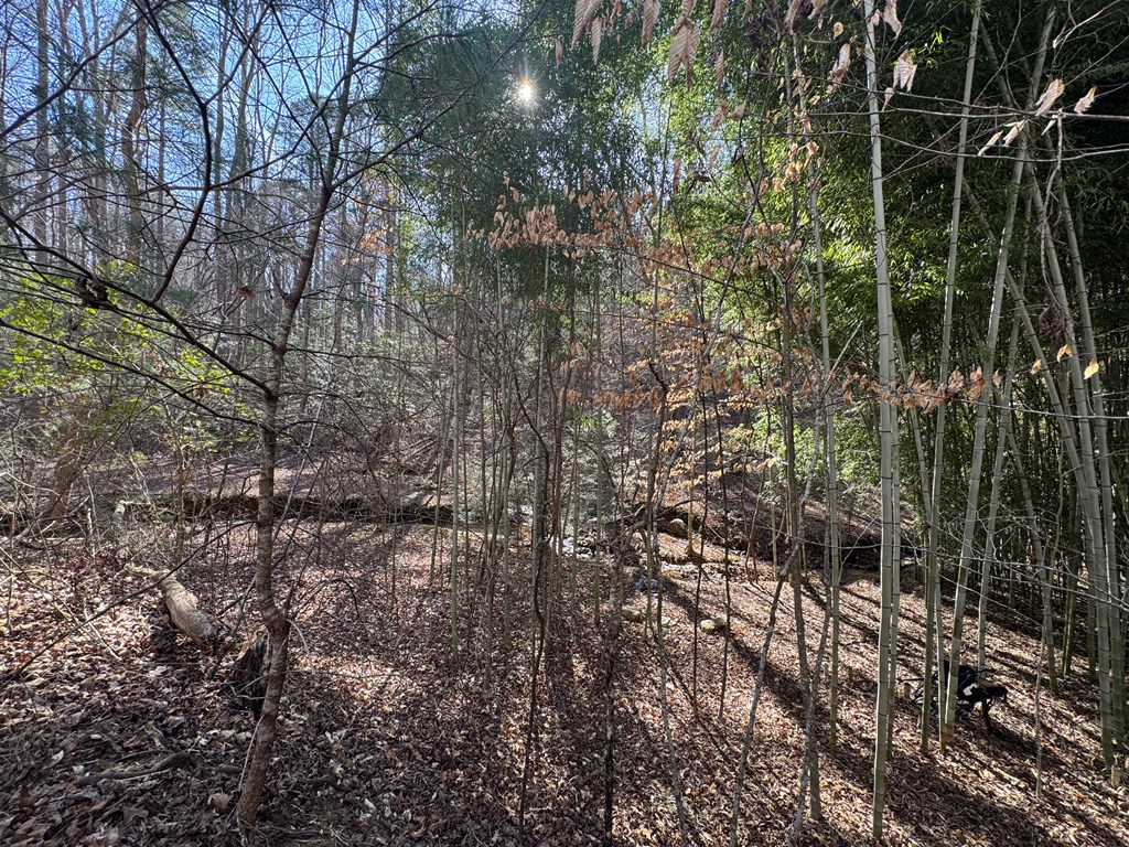Lot 855 Matrix Lane