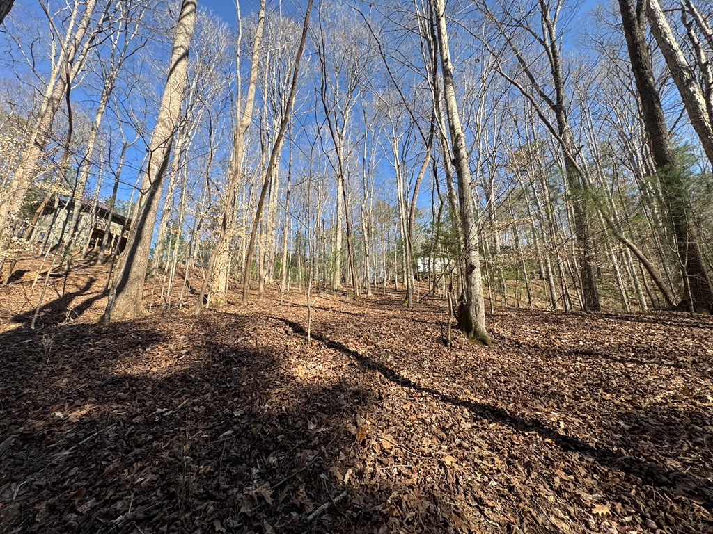 Lot 855 Matrix Lane