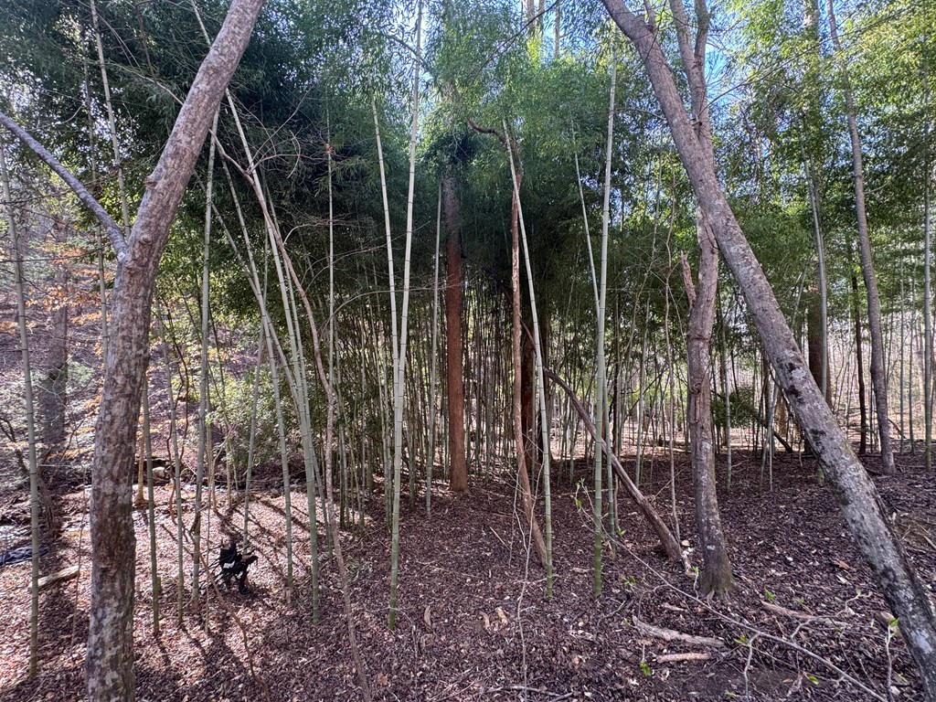 Lot 855 Matrix Lane