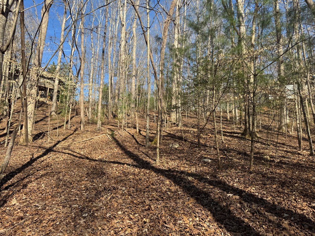 Lot 855 Matrix Lane