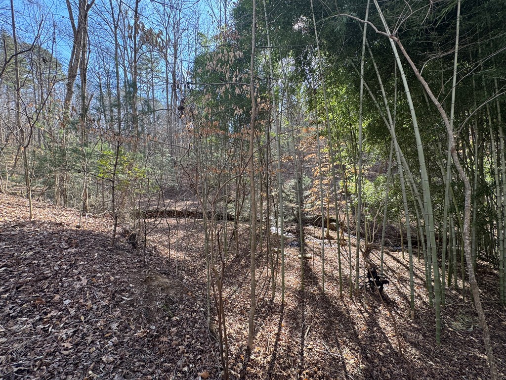 Lot 855 Matrix Lane