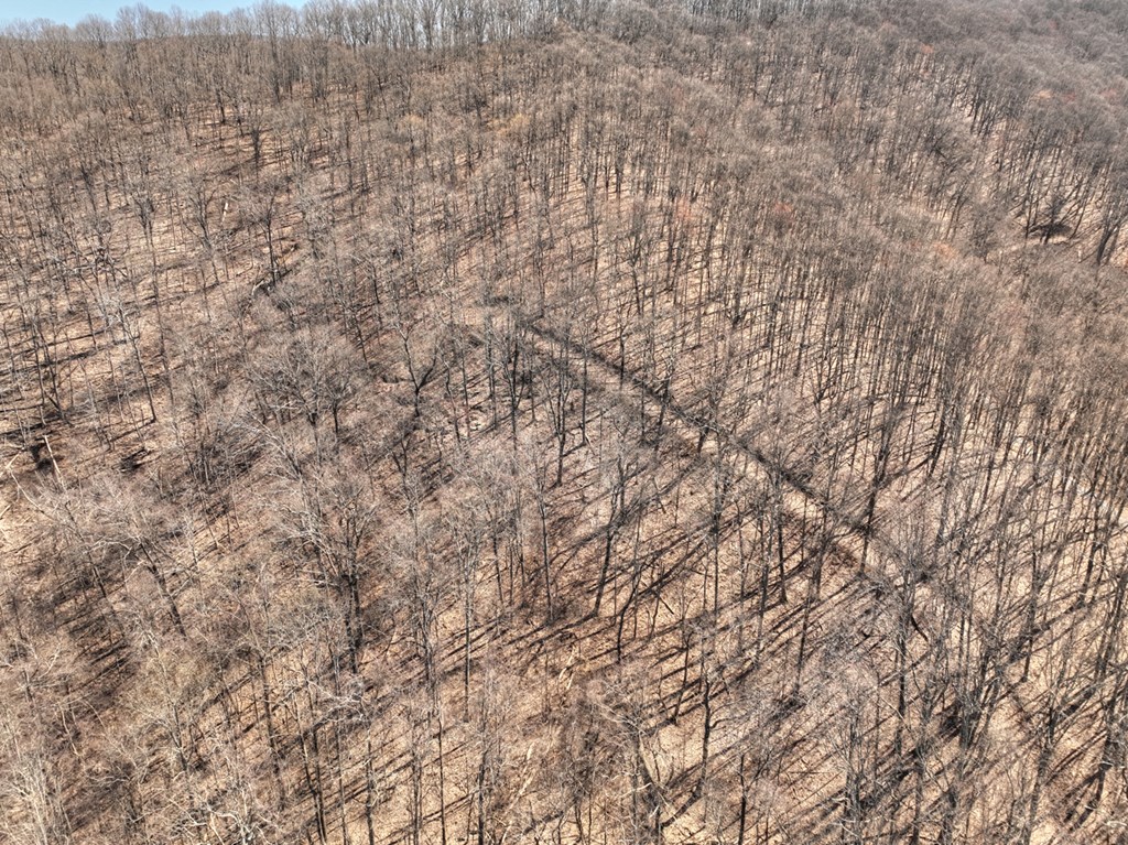 Lot 13 Wilderness Way