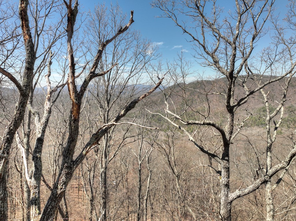 Lot 13 Wilderness Way
