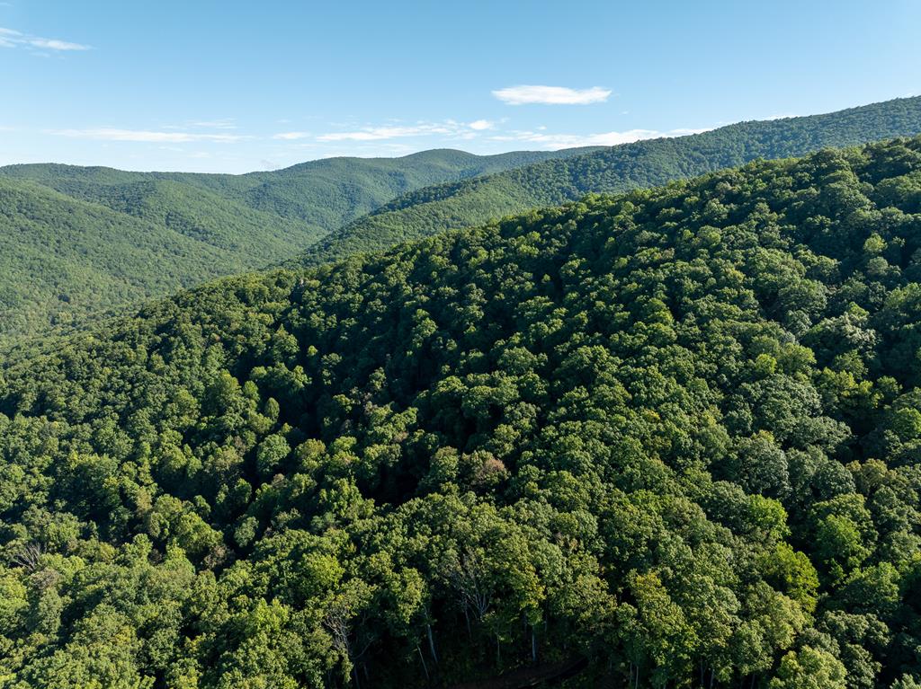 Lot 13 Wilderness Way