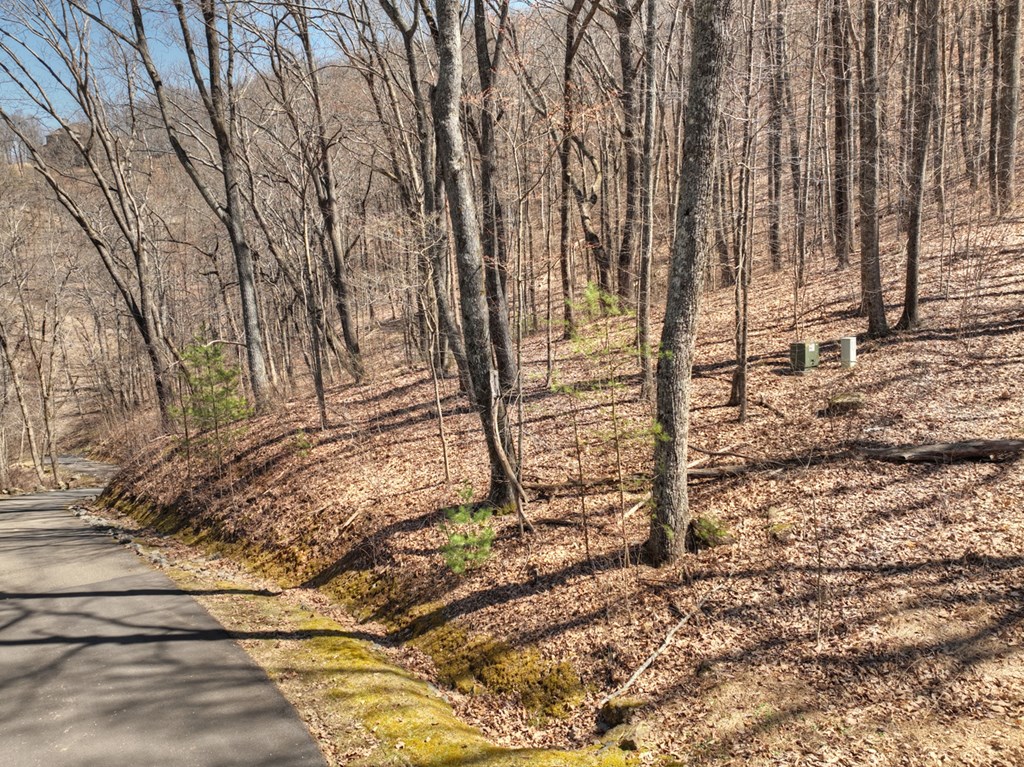 Lot 13 Wilderness Way