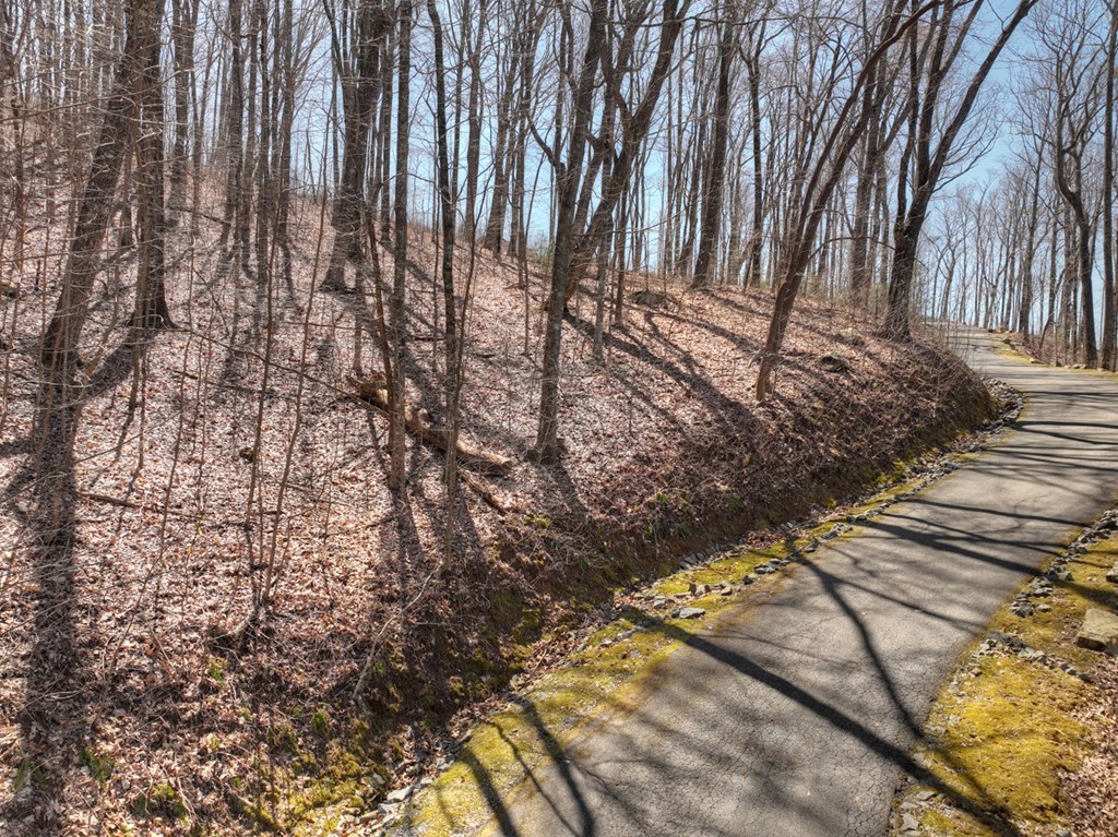 Lot 13 Wilderness Way