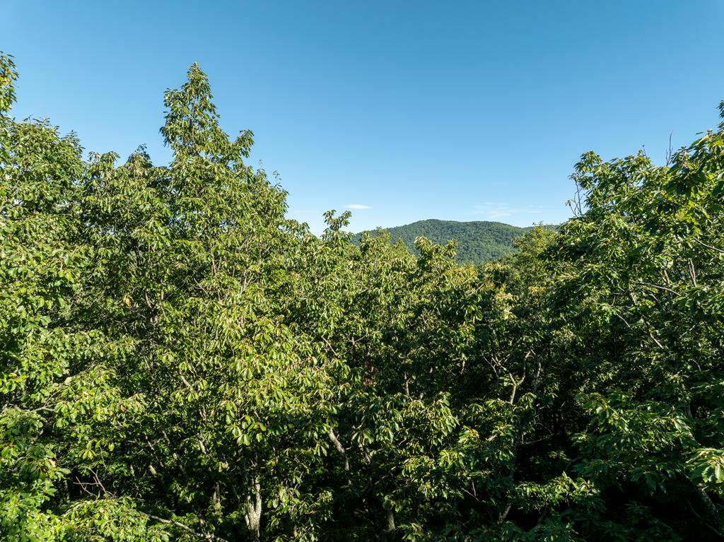 Lot 13 Wilderness Way