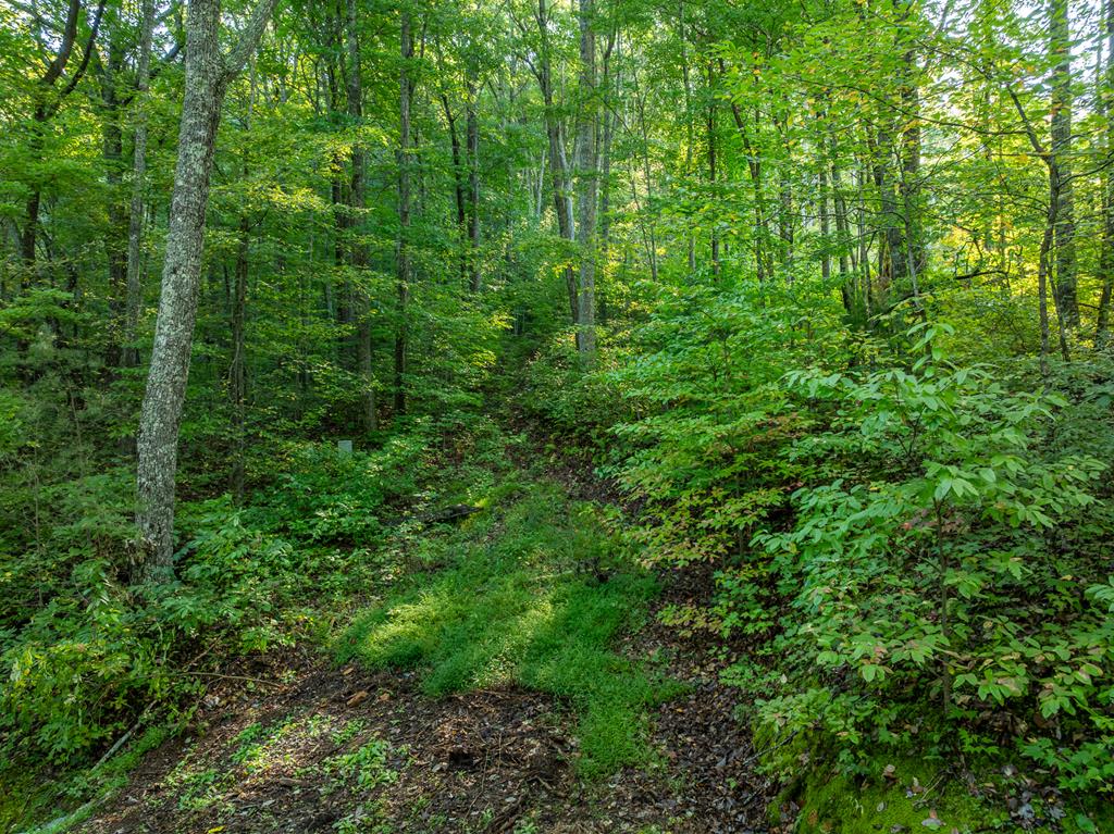 Lot 13 Wilderness Way