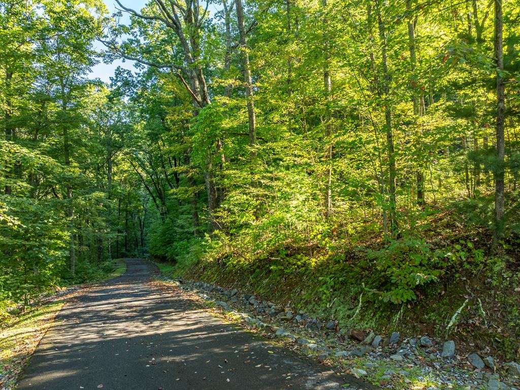 Lot 13 Wilderness Way