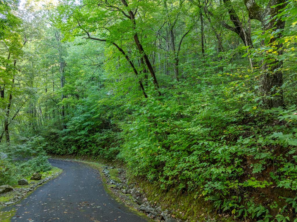 Lot 13 Wilderness Way