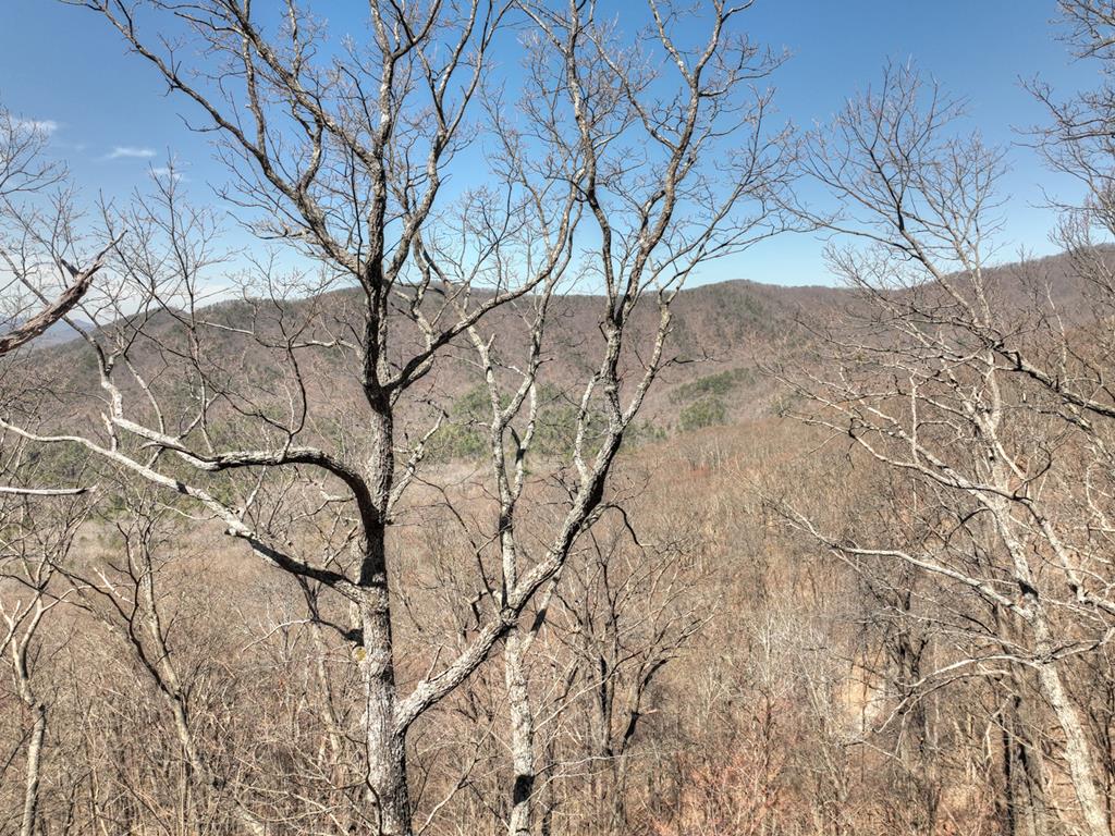 Lot 13 Wilderness Way