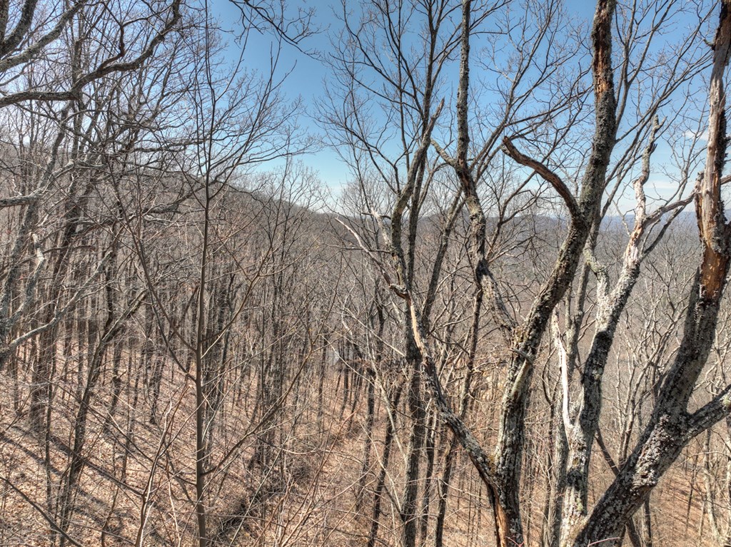 Lot 13 Wilderness Way