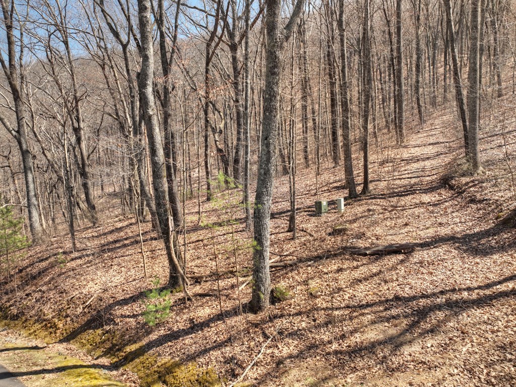 Lot 13 Wilderness Way