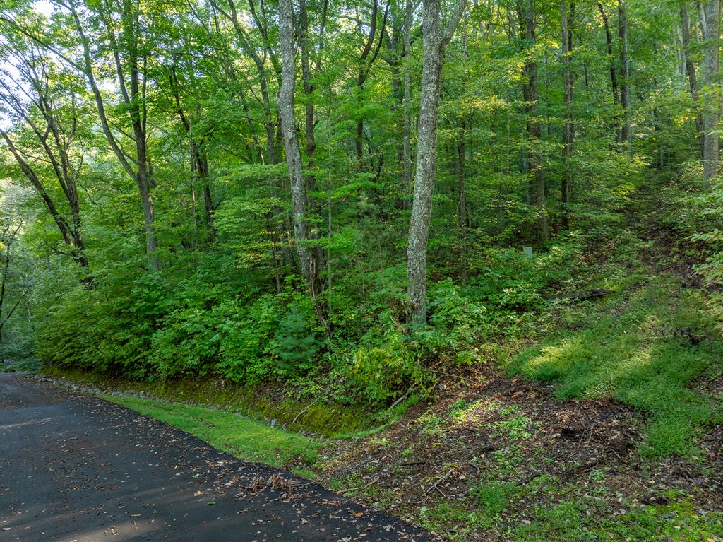 Lot 13 Wilderness Way