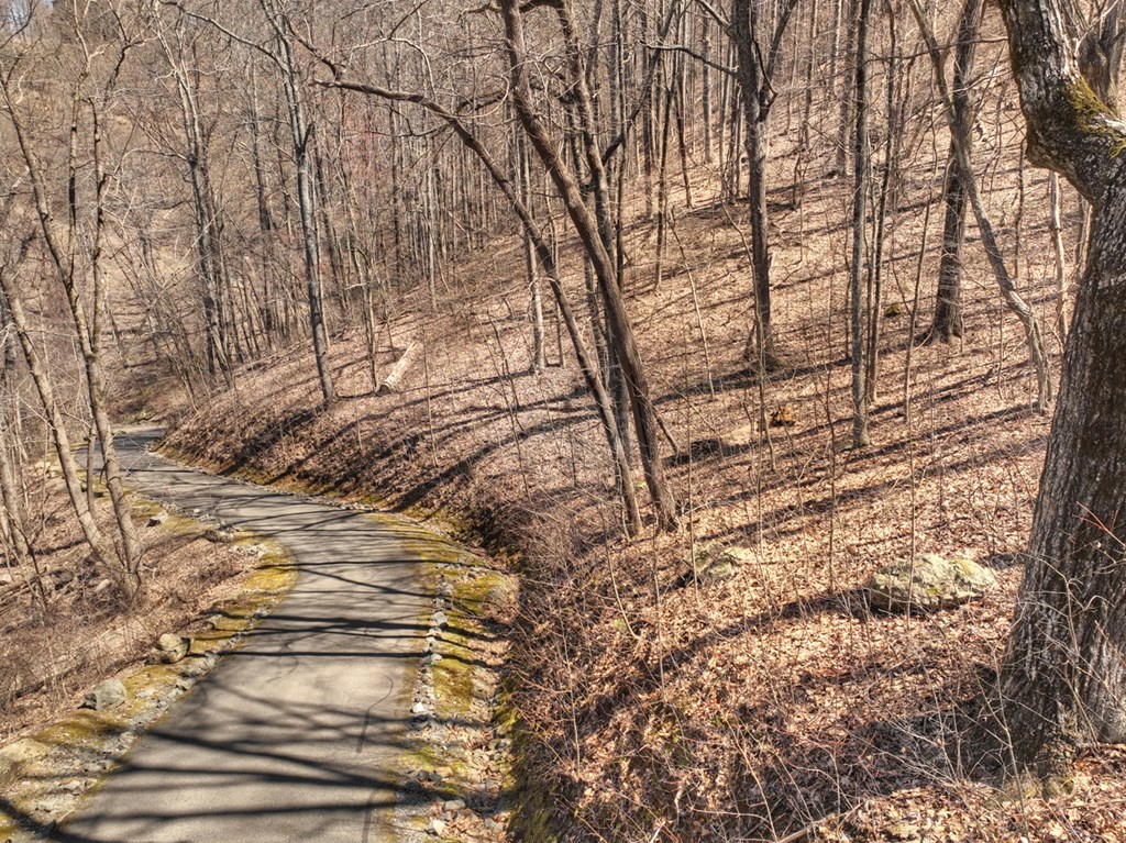 Lot 13 Wilderness Way