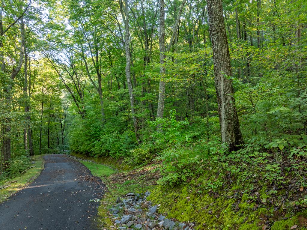 Lot 13 Wilderness Way