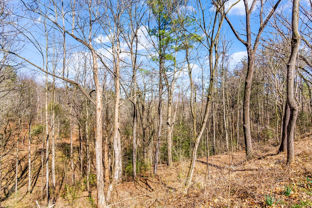 532 Pleasant Gap Road