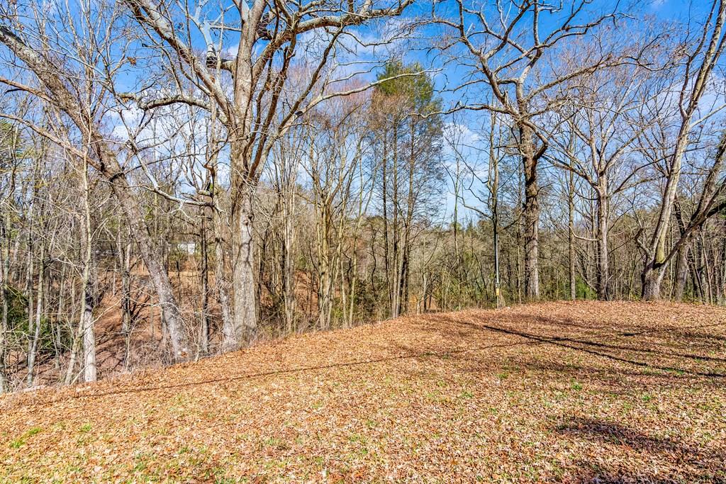 532 Pleasant Gap Road