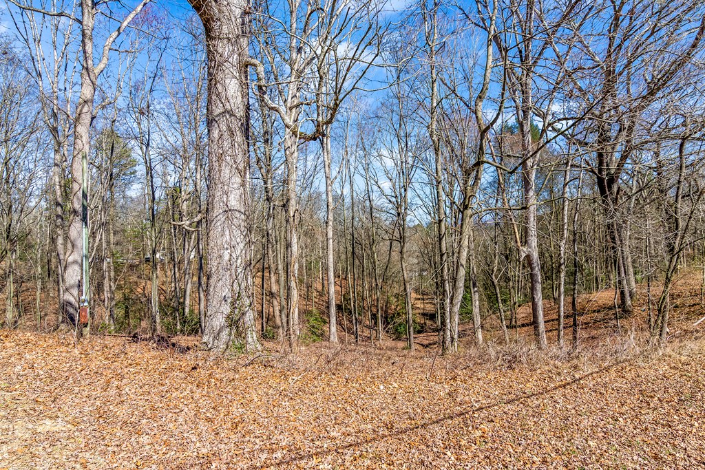532 Pleasant Gap Road