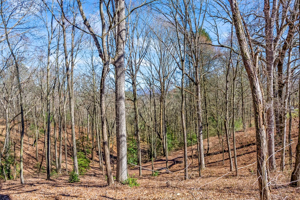 532 Pleasant Gap Road