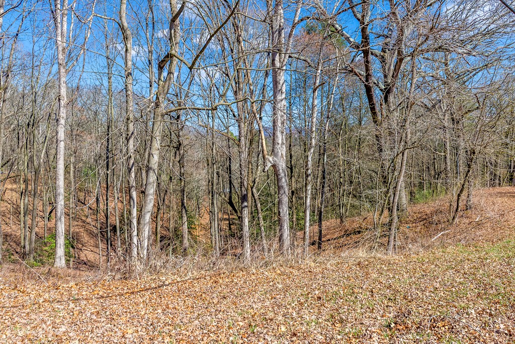 532 Pleasant Gap Road