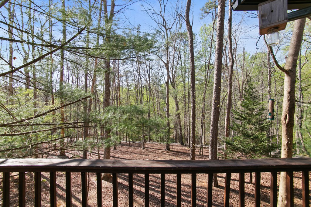 1270 Zenith Trail