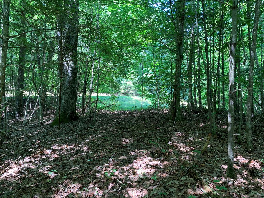 LOT 35 Maple Rest Trail